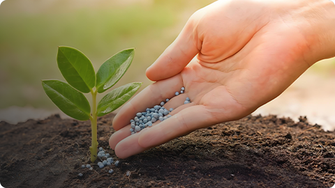 Agrochemicals